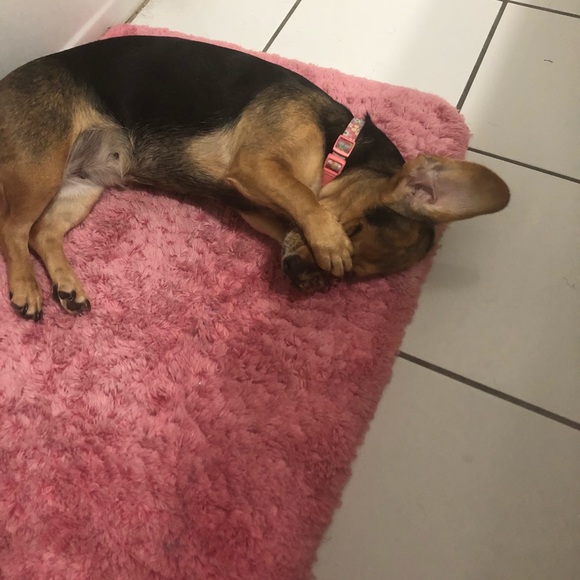 💗⭐️💗CHAR💗⭐️💗 - Picture 7 of 8